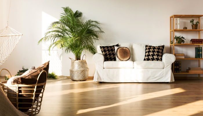 home insurance