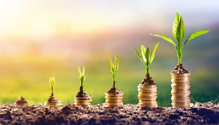 provide stable growth of wealth